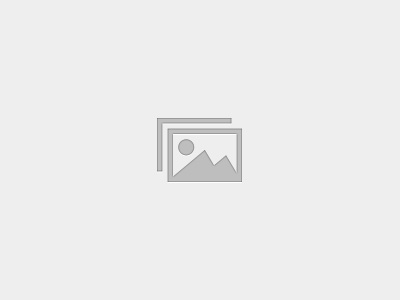 Level One – Delivering the Award – Bulgaria